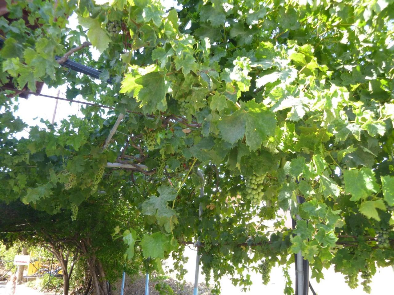 Stavros Apartments Istro Luaran gambar